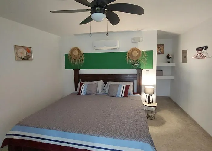 Casa Motmot