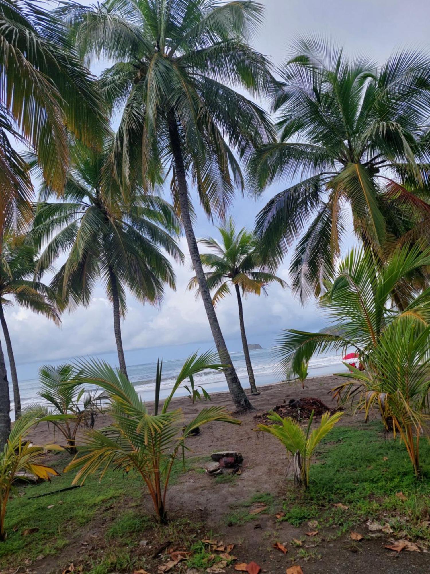 Apartment Casa Motmot