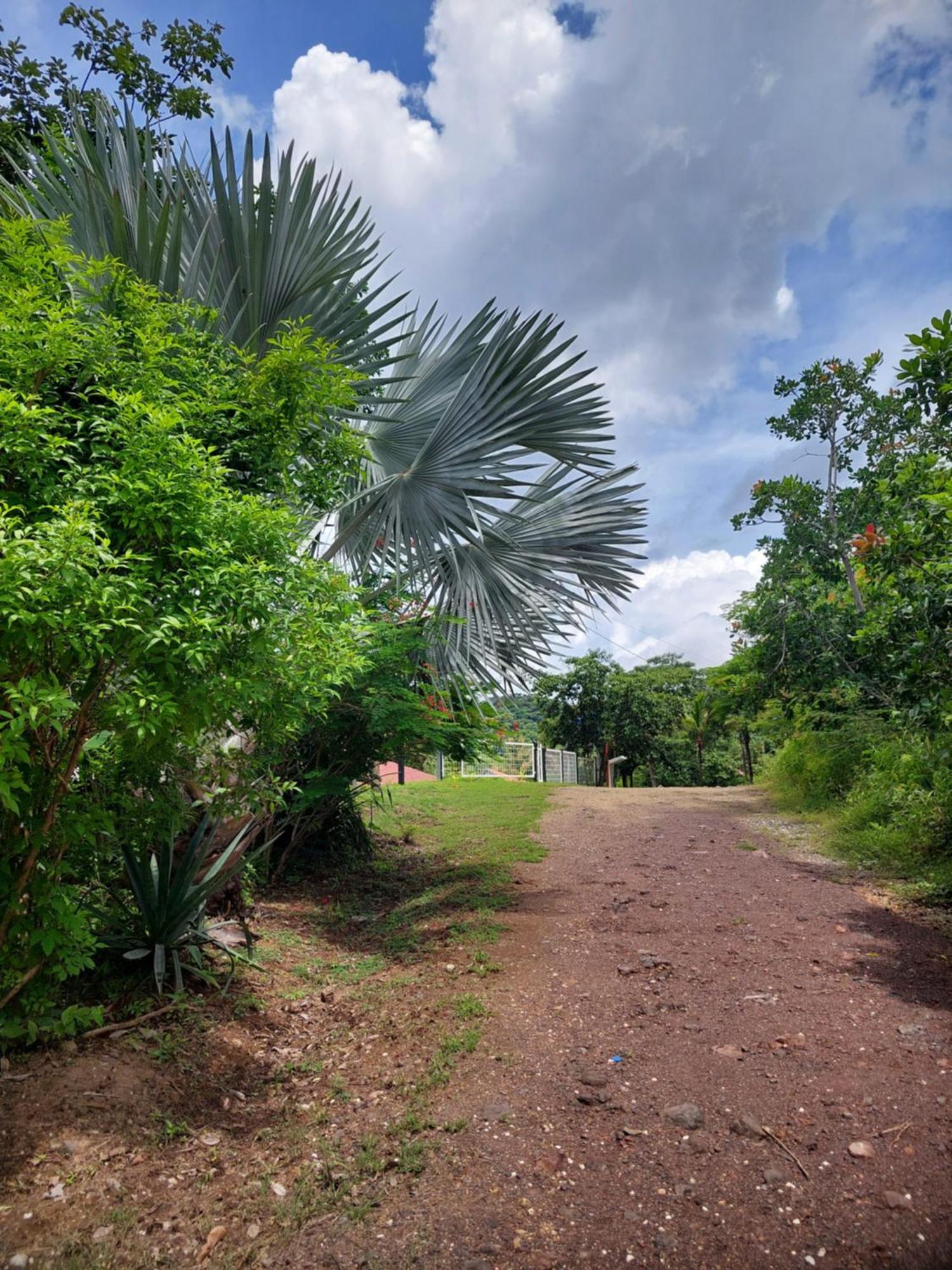 Casa Motmot Apartment Puerto Viejo (Guanacaste)