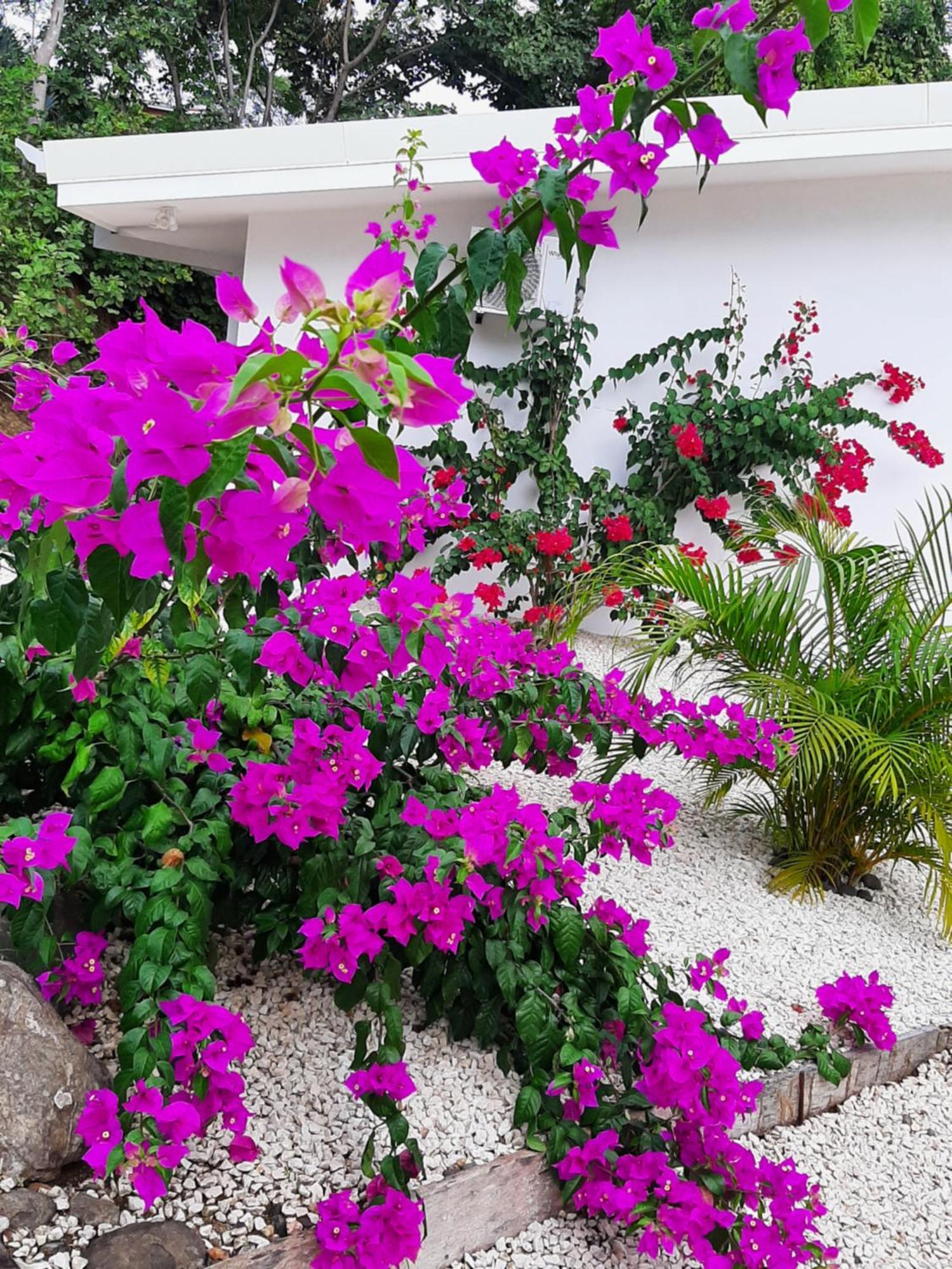 Apartment Casa Motmot